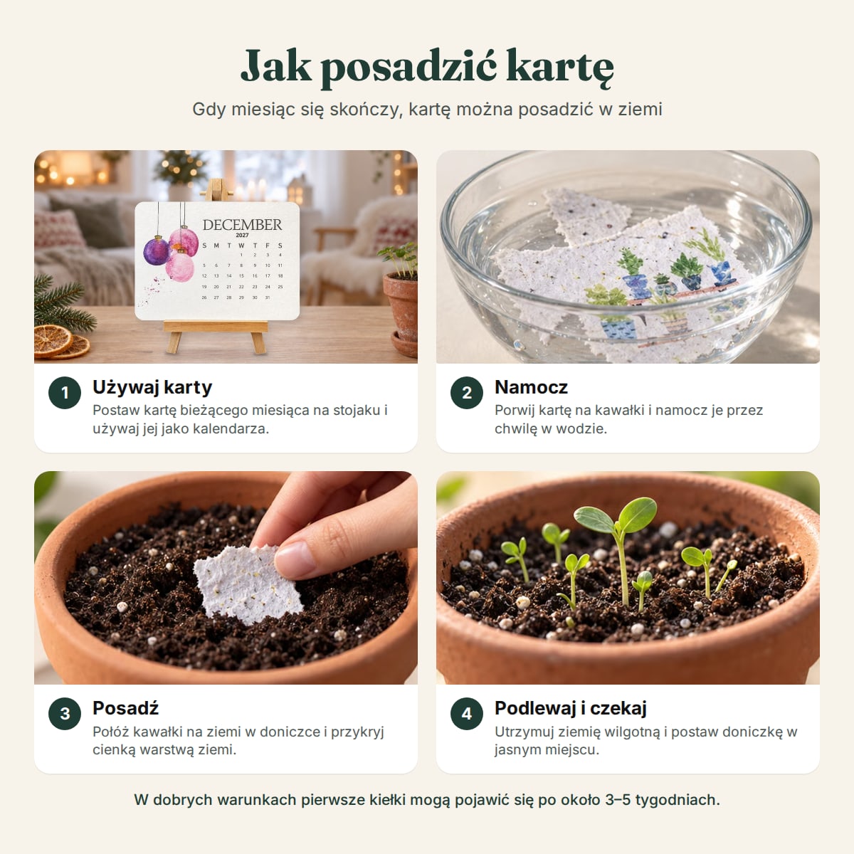 Jak krok po kroku posadzić karty z kalendarza z nasionami